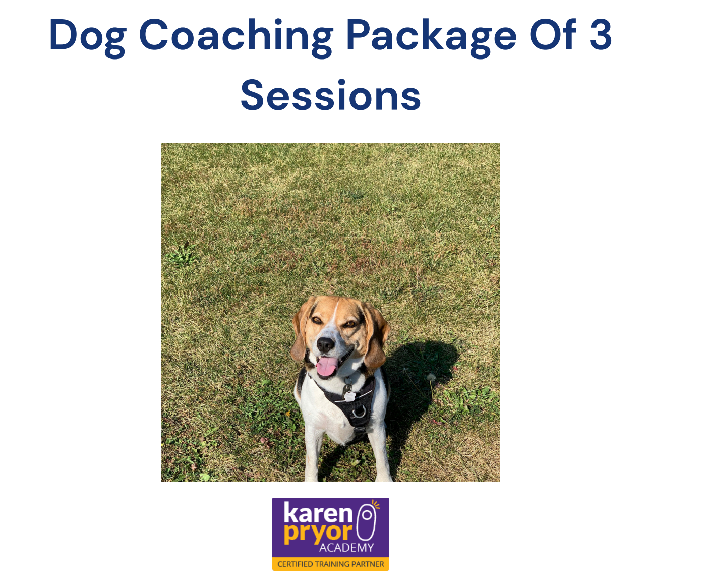 Dog Training Package