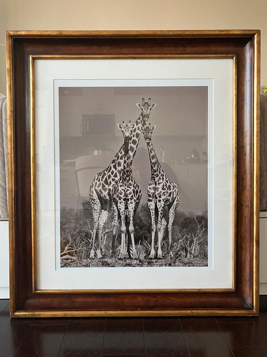 Giraffe Print -Trowbridge Fine Art made in the United Kingdom