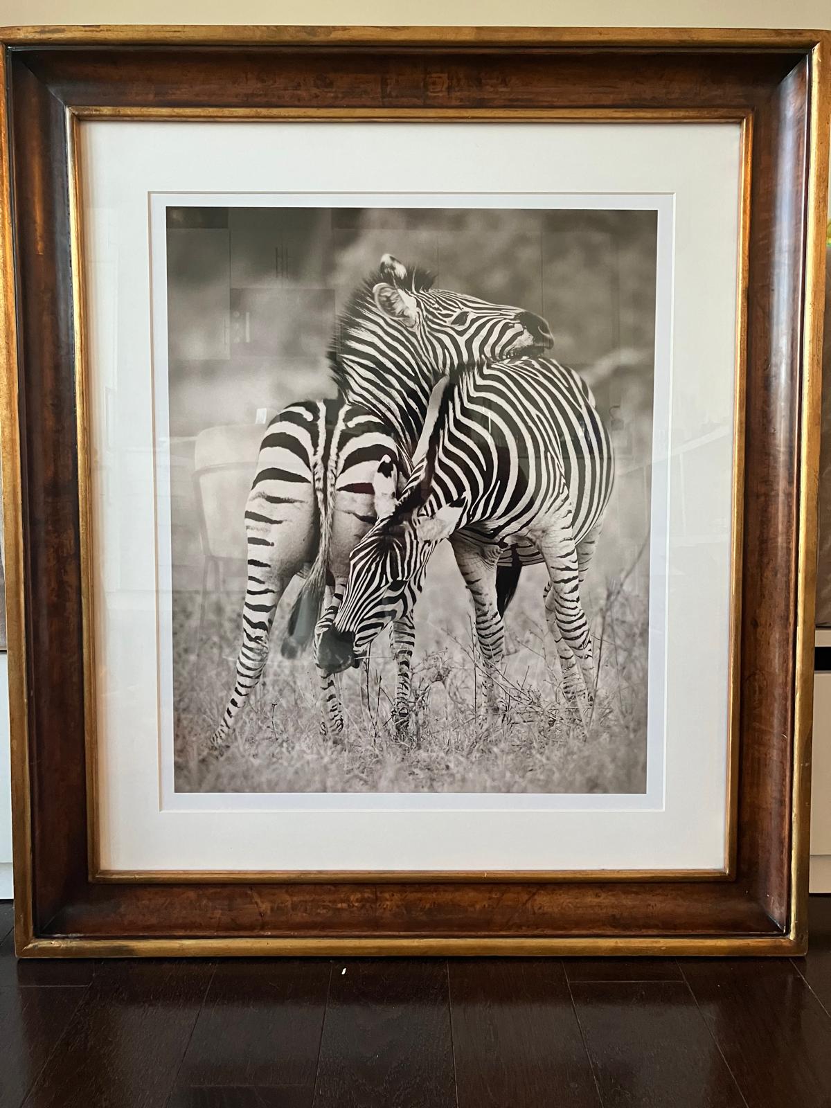 Zebra Print,Trowbridge Fine Art made in the United Kingdom